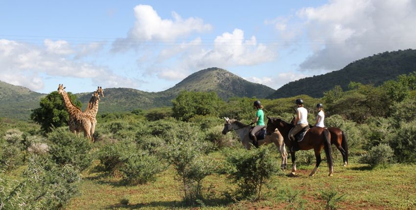 Reiturlaub Pakamisa mit Tierbeobachtung
