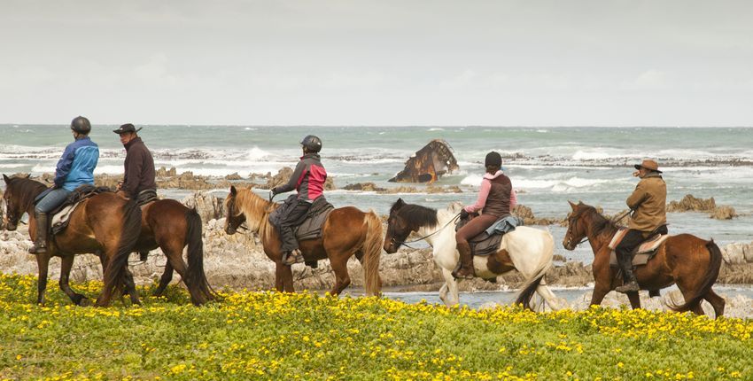 Wanderritt Agulhas Nationalpark
