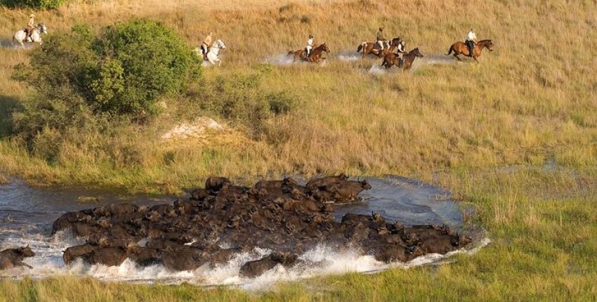 Botswana - Okavango Delta