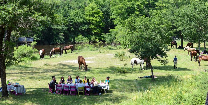 Reiten in Frankreich