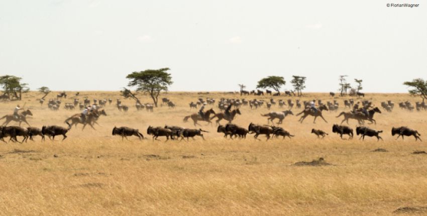 Kenia - Maasai Mara