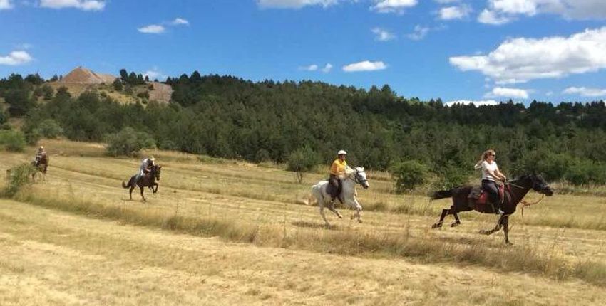 Reiturlaub in Kroatien