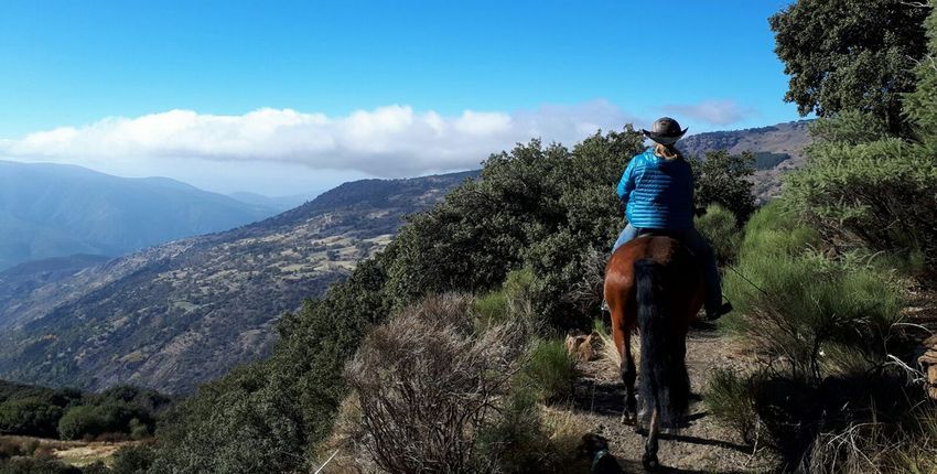 Wanderritte in der Sierra Nevada