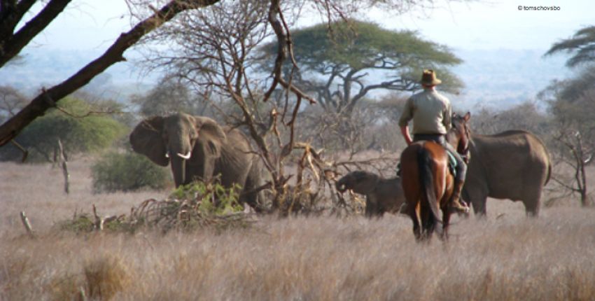  Tansania - in den Ausläufern des Kilimanjaro