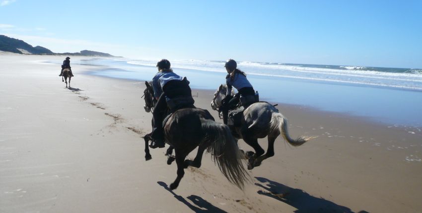 Sonderangebote für Reiter Reisen & Reiturlaub