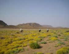 Marokko Wanderritt Oasen & Sanddünen 
