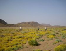 Marokko Wanderritt Oasen & Sanddünen 