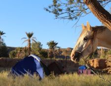 Marokko Wanderritt Tafilalet