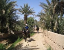 Marokko Wanderritt Oasen & Sanddünen 