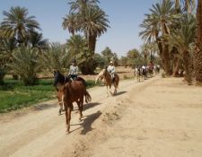 Marokko Wanderritt Oasen & Sanddünen 