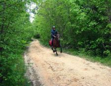 Reiturlaub dalamatinisches Hinterland