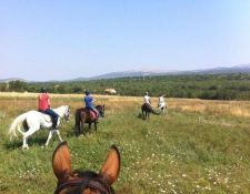 Reiturlaub dalamatinisches Hinterland