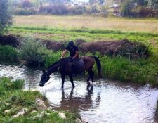 Reiturlaub dalamatinisches Hinterland