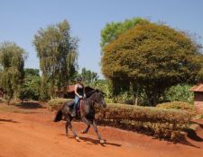 Uganda Wanderritt am Nil 