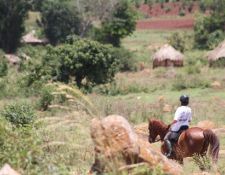 Uganda Wanderritt am Nil 