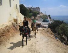 Marokko Wanderritt Königsstädte