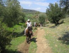 Marokko Wanderritt Königsstädte