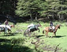 Wanderritte und Reitsafaris