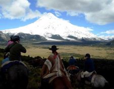 Argentinien-Patagonien-Lanin