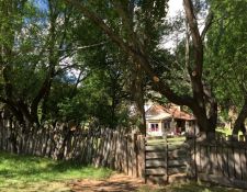 XAndes - El Sapucai versteckt im Wald