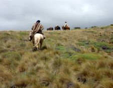 XAndes - weite Pampa