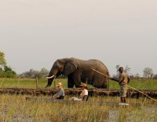 Okavango Delta - Mokoro-Ausflug