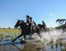 Galopp im Okavango Delta 