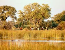 Flusspferde und Reiter an einer Lagune im Delta