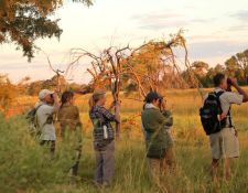 Fusspirsch mit David