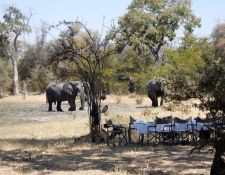 Lunch im Busch mit Gästen