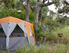 Zelt im mobilen Reitercamp