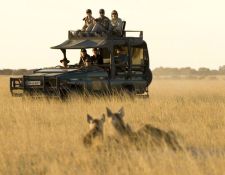 Reitsafari Delta & Desert - Kalahari Wüste