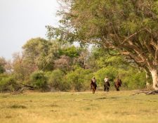 Reitsafari Delta & Desert - Okavango Delta 