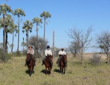 Reitsafari Delta & Desert - Kalahari Wüste