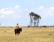 Reitsafari Delta & Desert - Kalahari Wüste