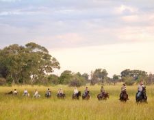 Reitsafari Delta & Desert - Okavango Delta 