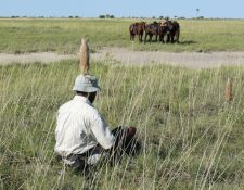 Reitsafari Delta & Desert - Kalahari Wüste