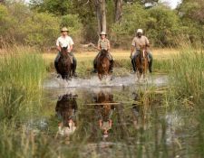 Reitsafari Delta & Desert - Okavango Delta 