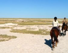 Reitsafari Delta & Desert - Kalahari Wüste