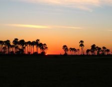 Reitsafari Delta & Desert - Kalahari Wüste