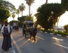 Kutsche auf der Corniche