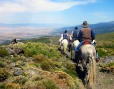 Buena Vista Ritt Tag 7