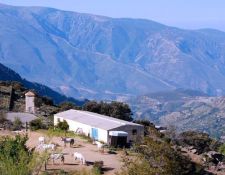 Blick auf die Ställe