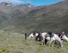 Buena Vista Ritt Tag 6