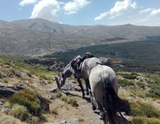Sierra Nevada Nordseite