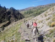 Jahrhunderte alte Reitwege