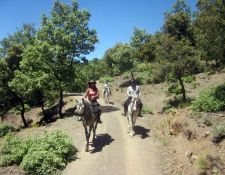 Gärten bei Berchules