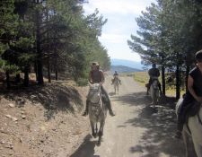 auf dem Weg zum Stall 