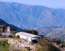 Pferdestall mit Aussicht