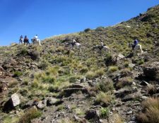 am Fuss des Mulhacen